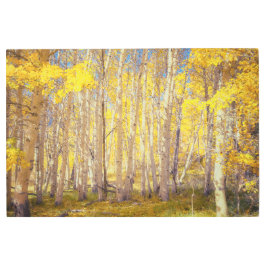 ゴールデン《植物》アスペンフォレスト メタルプリント