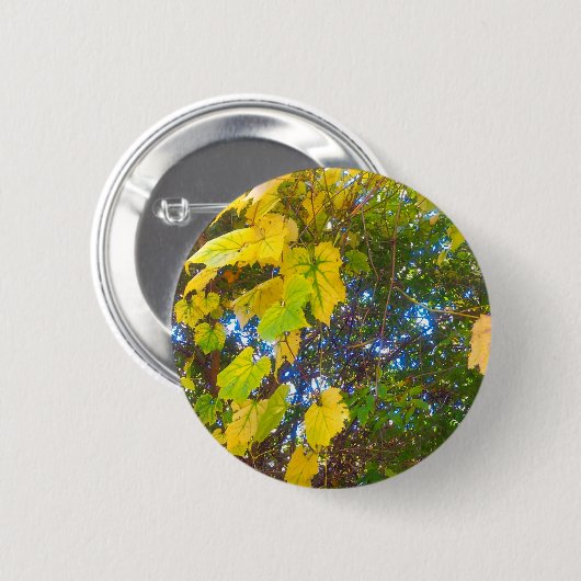 ゴールデン 缶バッジ (正面&裏面)