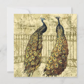 ゴールドの孔雀 オーシャンテイジ ヴィンテージ ウェディング 招待状 (裏面)