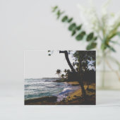 ゴールドトロピカルサンド ポストカード (スタンド正面)