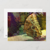 ゴールドバタフライ、クリムト、アート、蝶のアート ポストカード (正面/裏面)