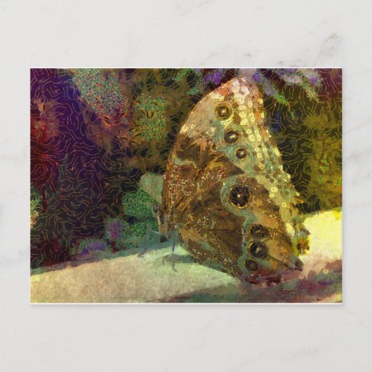 ゴールドバタフライ、クリムト、アート、蝶のアート ポストカード (正面)