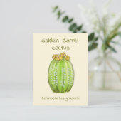 ゴールドバレルサボテンのポストカード ポストカード (スタンド正面)