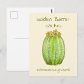 ゴールドバレルサボテンのポストカード ポストカード (正面/裏面)