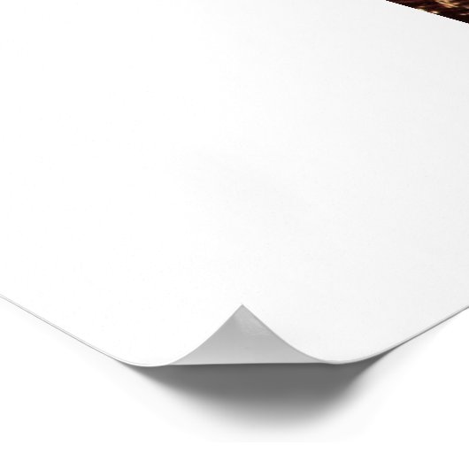 ゴールドフィッシュバイグスタフクリムト ポスター (角)