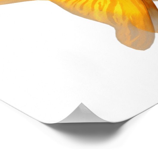 ゴールドフィッシュ漫画 ポスター (角)