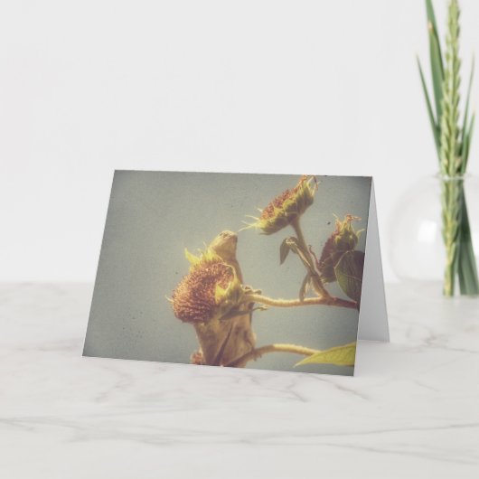 ゴールドフィンチとヒマワリのレトロ写真 カード (正面)