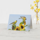 ゴールドフィンチとヒマワリグリーティングカード カード (黄色い花)