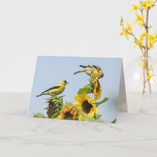 ゴールドフィンチとヒマワリグリーティングカード カード (黄色い花)