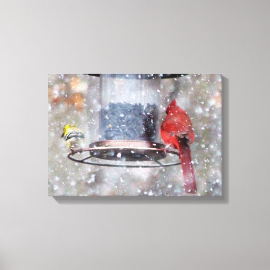 ゴールドフィンチと（鳥）ショウジョウコウカンチョウアットフィーダー キャンバスプリント (正面)