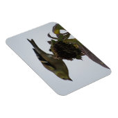 ゴールドフィンチひまわりパーチマグネット マグネット (右側)