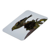 ゴールドフィンチひまわりパーチマグネット マグネット (左側)