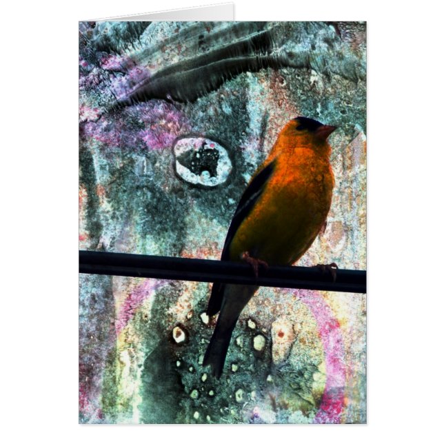 ゴールドフィンチグランジ (正面)