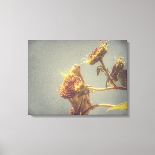 ゴールドフィンチグランジ キャンバスプリント (正面)