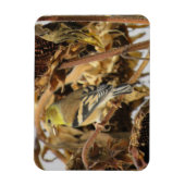 ゴールドフィンチ及びヒマワリ種磁石 マグネット (縦)