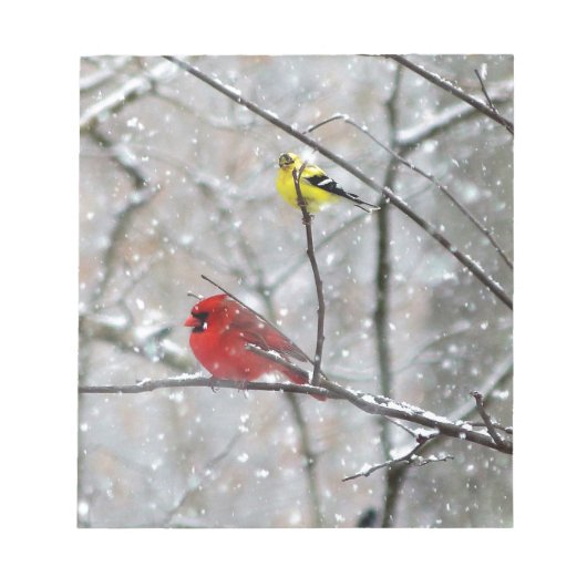 ゴールドフィンチ及び(鳥)ショウジョウコウカンチョウ ノートパッド (正面)