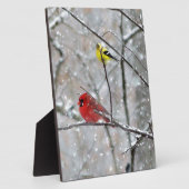 ゴールドフィンチ及び（鳥）ショウジョウコウカンチョウ フォトプラーク (側面)