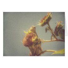 ゴールドフィンチ