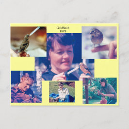 ゴールドフィンチ1973年絵葉書 ポストカード