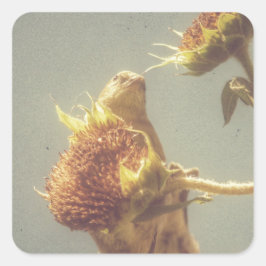 ゴールドフィンチ スクエアシール