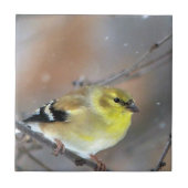 ゴールドフィンチ タイル (正面)