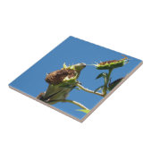 ゴールドフィンチ タイル (側面)