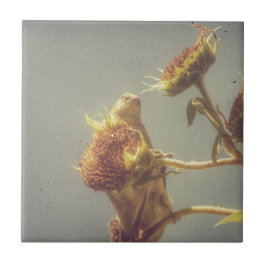 ゴールドフィンチ タイル