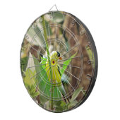 ゴールドフィンチ ダーツボード (正面右)