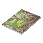 ゴールドフィンチ ノートパッド (回転)