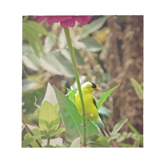 ゴールドフィンチ ノートパッド (正面)