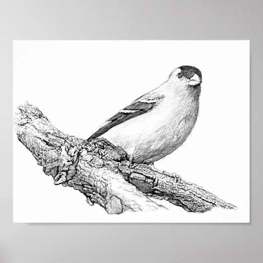 ゴールドフィンチ ポスター (正面)