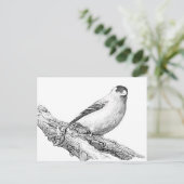 ゴールドフィンチ ポストカード (スタンド正面)