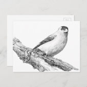 ゴールドフィンチ ポストカード (正面/裏面)