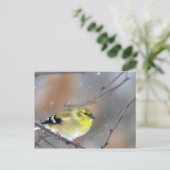 ゴールドフィンチ ポストカード (スタンド正面)