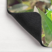 ゴールドフィンチ マウスパッド (コーナー)