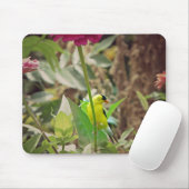 ゴールドフィンチ マウスパッド (マウス)