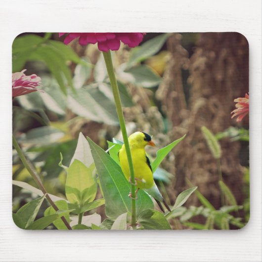 ゴールドフィンチ マウスパッド (正面)