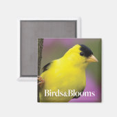 ゴールドフィンチ マグネット (正面/裏面)