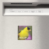 ゴールドフィンチ マグネット (インサイチュ (食洗機))