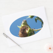 ゴールドフィンチ 楕円形シール (封筒)