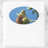 ゴールドフィンチ 楕円形シール (バッグ)