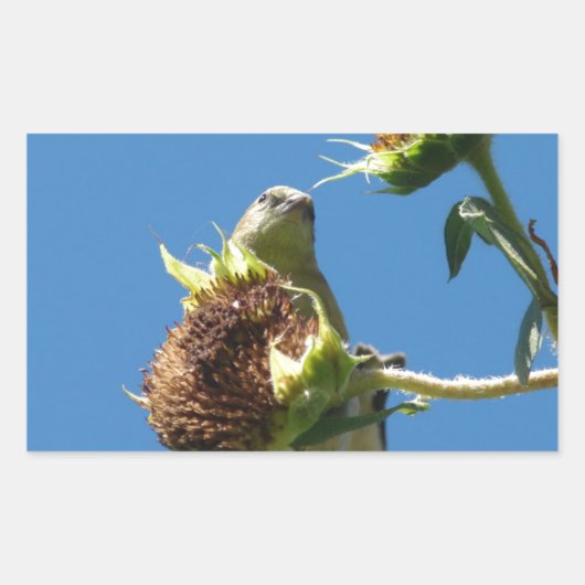 ゴールドフィンチ 長方形シール (正面)