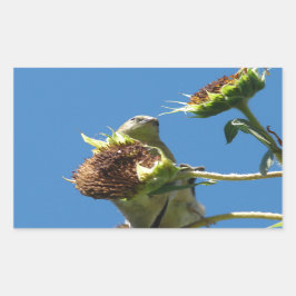 ゴールドフィンチ 長方形シール