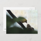 ゴールドフィ食べ物を与えンチ ポストカード (正面/裏面)