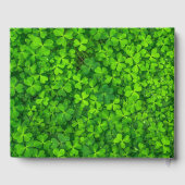 ゴールドフォイルフェイクフレーム付き緑の結婚クローバー ゲストブック (裏面)