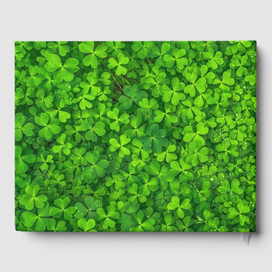 ゴールドフォイルフェイクフレーム付き緑の結婚クローバー ゲストブック (裏面)