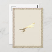 ゴールドボードスケート子供 ポストカード (正面/裏面)