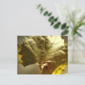 ゴールドリーフフォトオン ポストカード (スタンド正面)