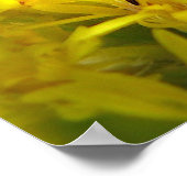 ゴールドロッド上の小さなアリ ポスター (角)