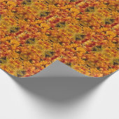 ゴールドロッド赤のヒントでクローズアップ ラッピングペーパー (角)